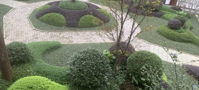 大邑道源圣城温泉国际大酒店图片