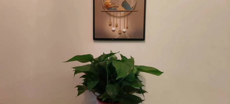 合肥小小家青年旅社(瑶海万达店)图片