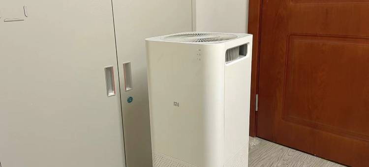 深圳自然之门男生国际青年旅舍(岗厦北地铁站会展中心店)图片