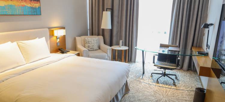 天空花园酒店首尔板桥中心店(Hotel Skypark Central Seoul Pangyo)图片