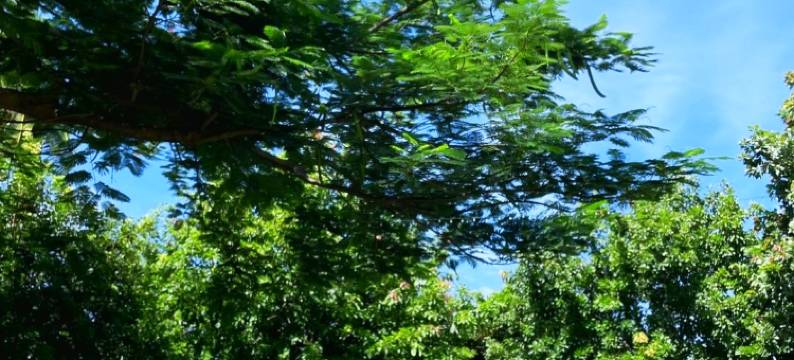 苏梅岛海滩共和国酒店(Beach Republic, Koh Samui)图片