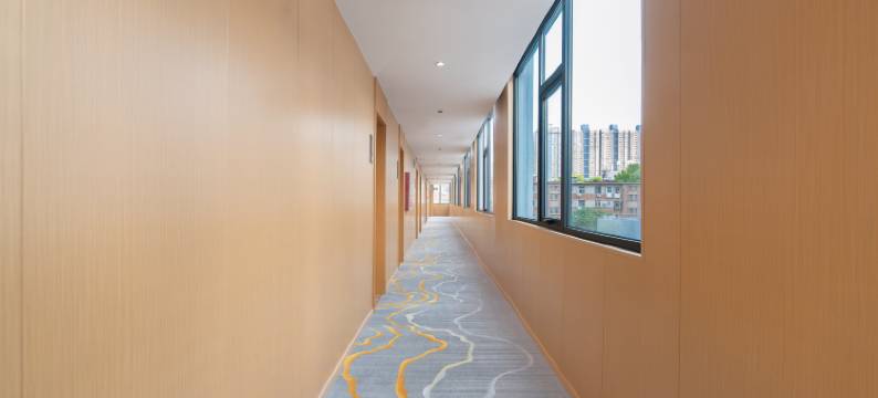 金梧桐酒店(郑州人民医院地铁站郑州火车站东广场店)图片