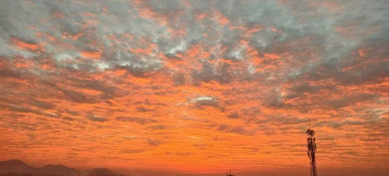 龙湾大酒店(琅塘镇店)图片