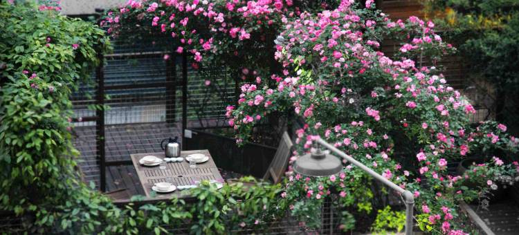 爱利根ELEGANT异国印象·美式风格Club酒店(浦江店)图片