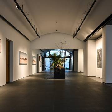 上海养云安缦酒店图片