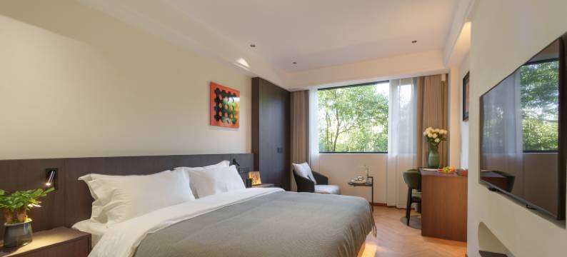 玖栖智能酒店(大理高铁站店)图片