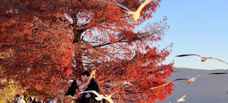 大理漫时光海景民宿(龙龛码头店)图片