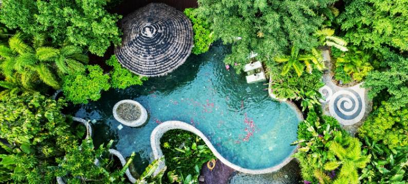 西双版纳景洪望天墅·雨林秘境富氧墅居美学空间酒店图片