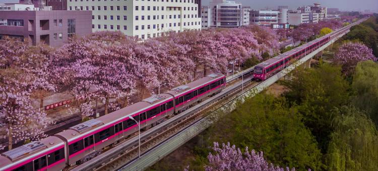 北京亦庄希尔顿花园酒店图片