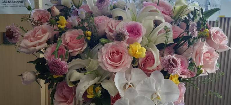 都市118·精选酒店(禹城市政府贸易大厦店)图片