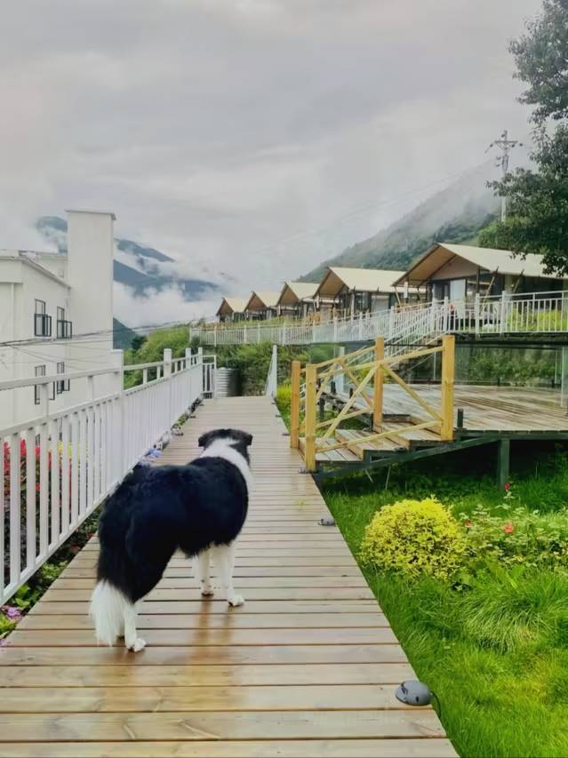 暮山映雪·Spring奢隐汤池别院(康定店)图片