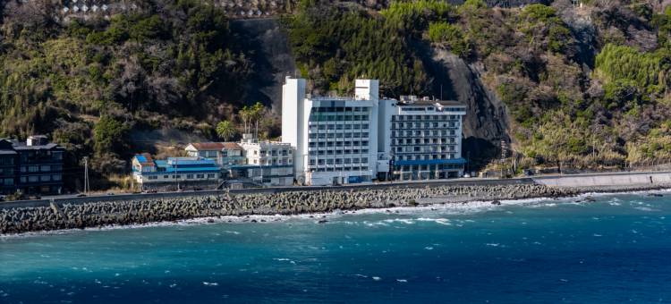 热川温泉蓝海酒店(Atagawa Onsen Blue Ocean)图片