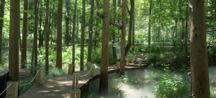 向野而生·东明山(杭州良渚文化村店)图片