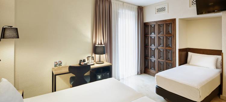 赛尔科特尔阿方索六世酒店(Sercotel Alfonso VI)图片