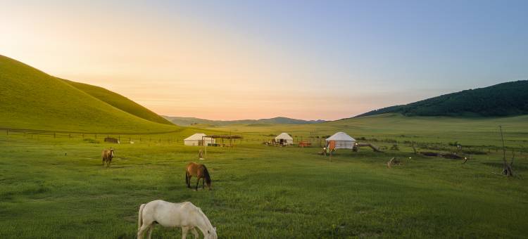 乌兰布统长调栖所度假酒店图片