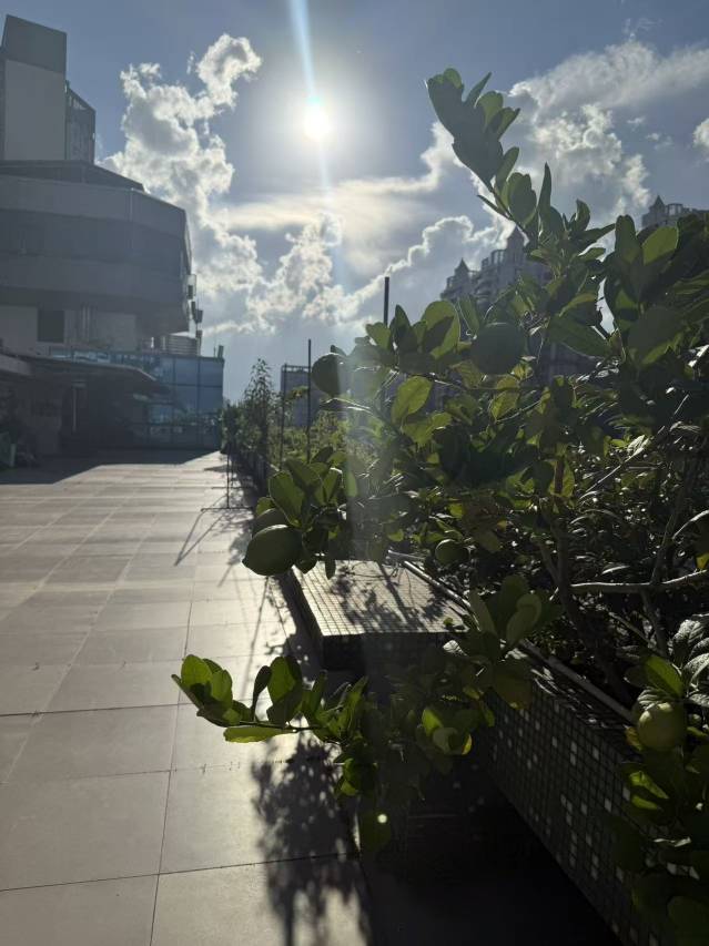 美思柏丽酒店(江门五邑大学利和广场店)图片