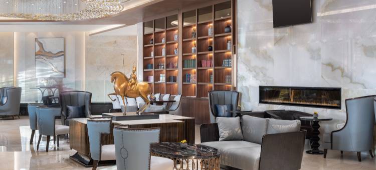 莫斯科阳光酒店(Soluxe Hotel Moscow)图片