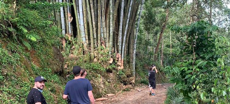 茶屋水疗度假村(Tea Cottage Resort & Spa)图片