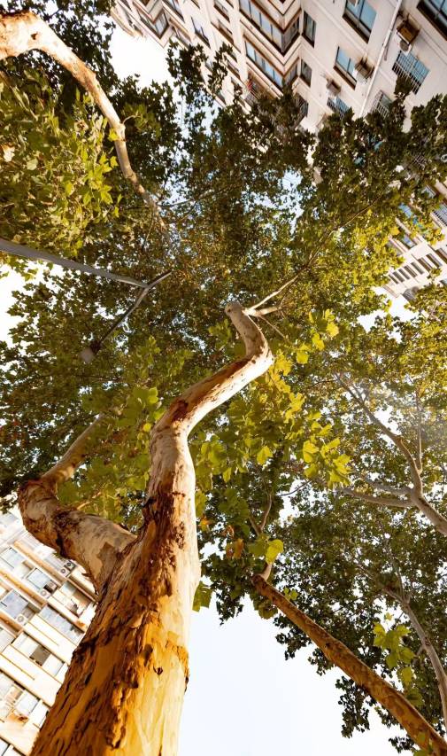 如家商旅酒店(杭州西湖湖滨定安路地铁站店)图片