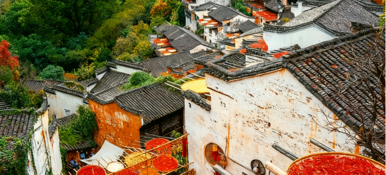 婺源雾观拾舍・Mist View Lodge现代设计感民宿(篁岭风景区店)图片