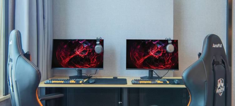 蚂蚁·光年电竞酒店(永州蓝山县市政广场店)图片