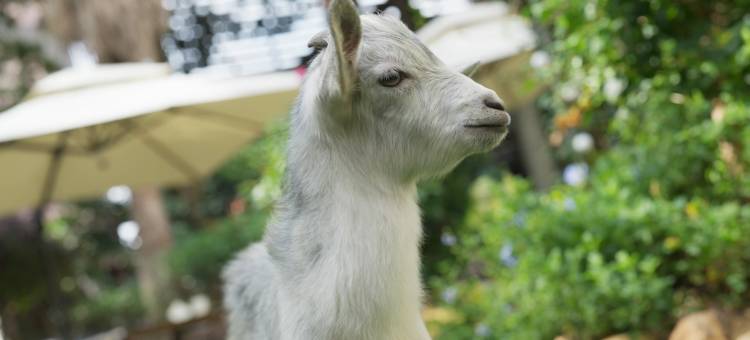 贵阳铂尔曼大酒店(甲秀楼鸿通城购物中心店)图片