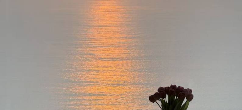 海上日出民宿(东山岛名胜金鼎都1号楼店)图片