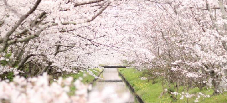 烧津龟之井酒店(Kamenoi Hotel Yaizu)图片