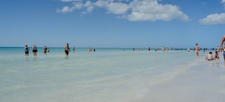 现代奢华特大床套房距利多海滩数分钟+市中心家庭旅馆(Modern Lux king Suite, Minutes To Lido Beach + DT.)图片