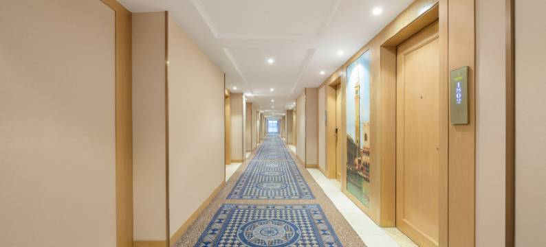 维也纳国际酒店(凭祥市政府广场店)图片