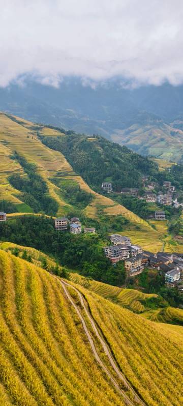 龙胜远方小镇民宿(龙脊梯田二号观景台店)图片