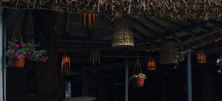 The Mango Tree- Backpackers Hostel图片