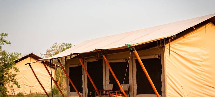 葛努玛拉河营地酒店(Gnu Mara River Camp)图片