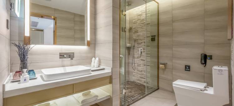 麗枫酒店(九江八里湖金融中心店)图片