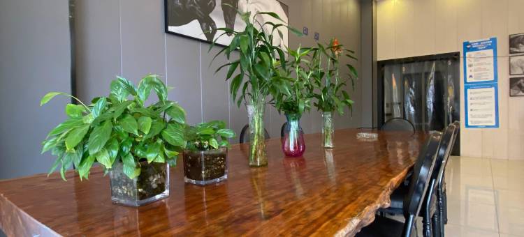 东莞海怡连锁酒店图片