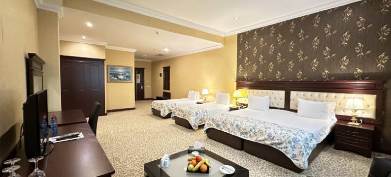 现代酒店-巴库(Modern Hotel Baku)图片