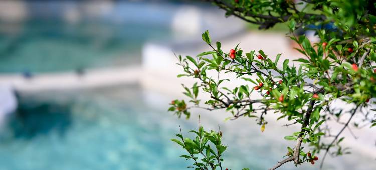 长泰山外悦居温泉度假别墅图片