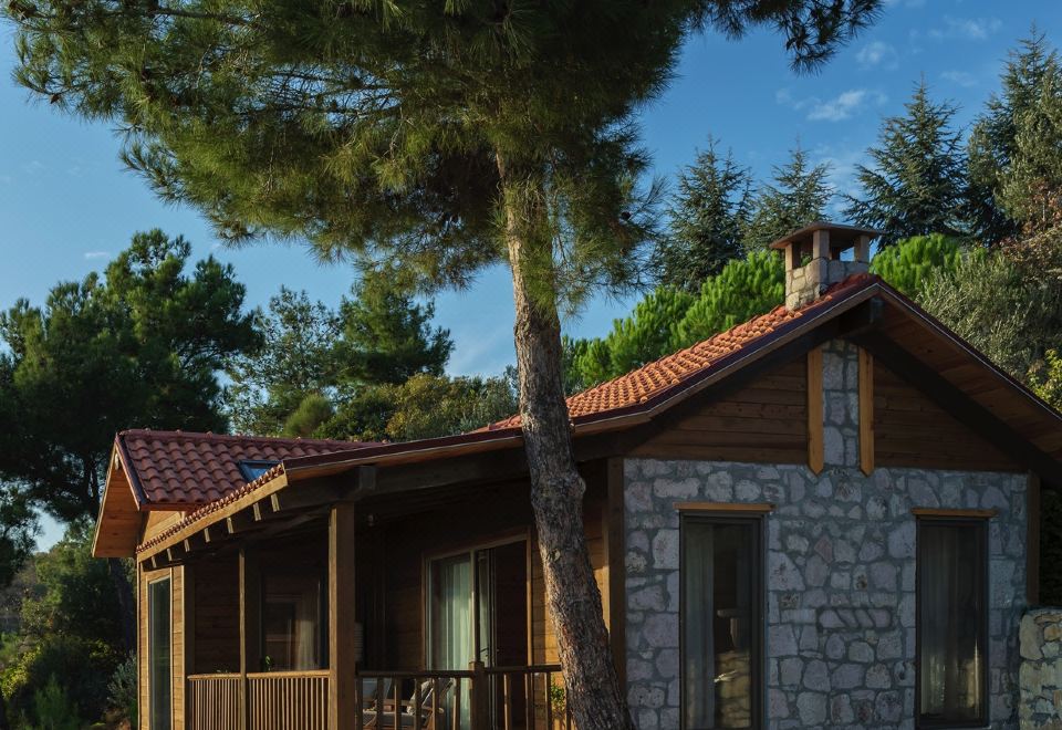 Simurg Inn Hotel Overview