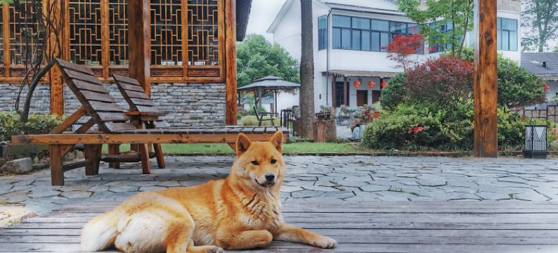 安吉水边·唱晚Garden亲子乐园度假民宿图片