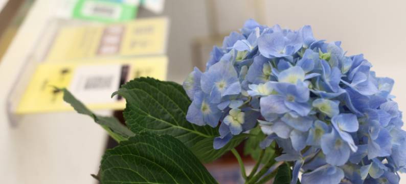 鄂州罗鑫宾馆图片