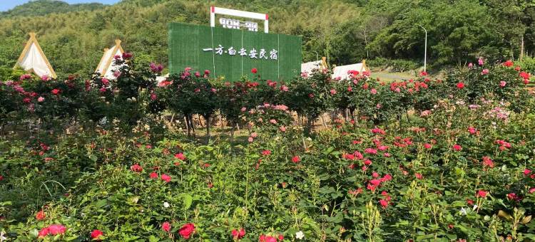 一方·白云安民宿图片