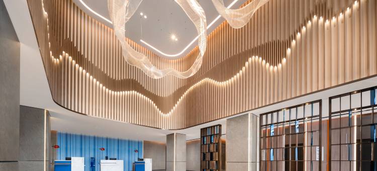 智选假日酒店(南京东方万汇城青奥体育公园店)图片