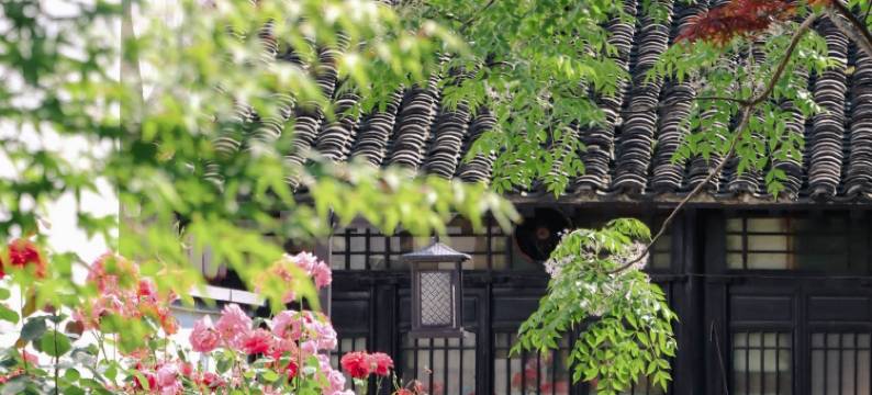 嘉兴芦席汇开元观堂酒店(南湖店)图片