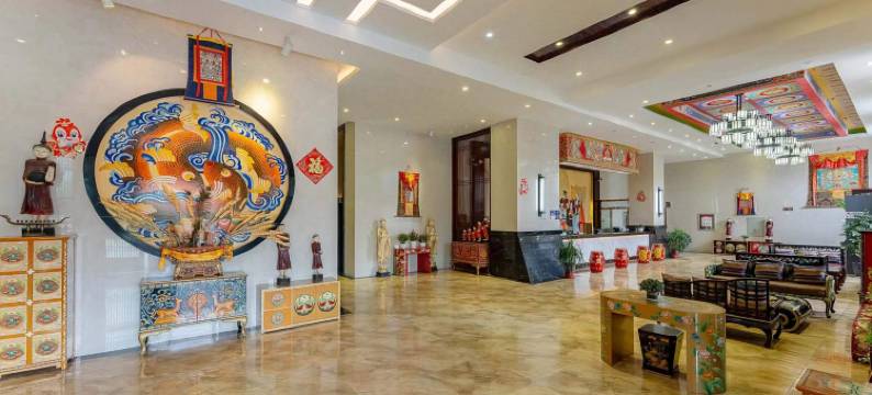 林芝天宇藏秘主题酒店图片