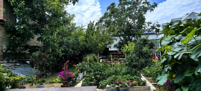 巩留花石间民宿图片