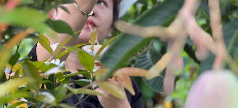 西双版纳景洪栖子堂·隐世湖畔野奢度假民宿(嘎洒国际机场店)图片