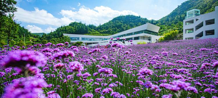 酉阳星空∙悦涧里图片