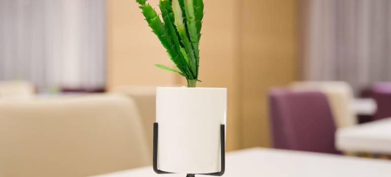 麗枫酒店(深圳坪山高铁站龙东地铁站店)图片