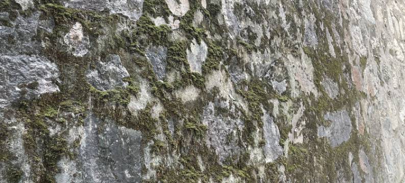 潜山泽永居民宿图片