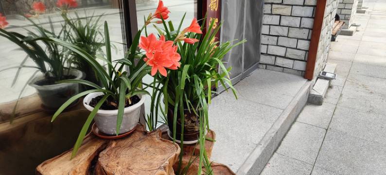 蘭茵閣客栈图片